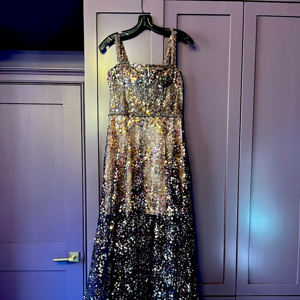 Bronx & Banco Midnight Noir Gown size S